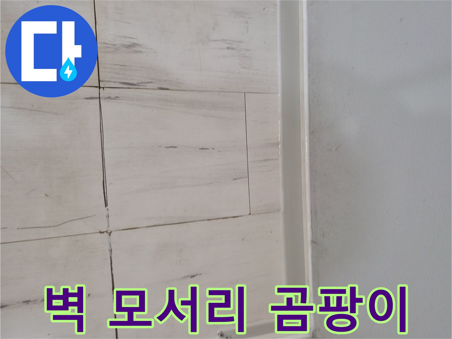 벽 모서리 곰팡이 - 누수 가능성