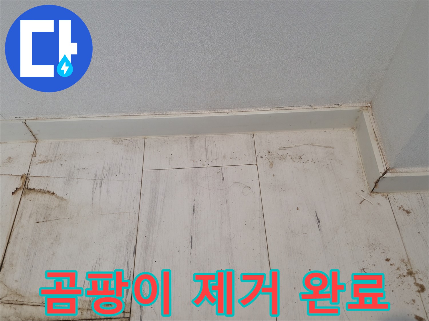 신림 누수 - 마루 곰팡이 완벽 제거 시공 완료 - 쾌적한 환경