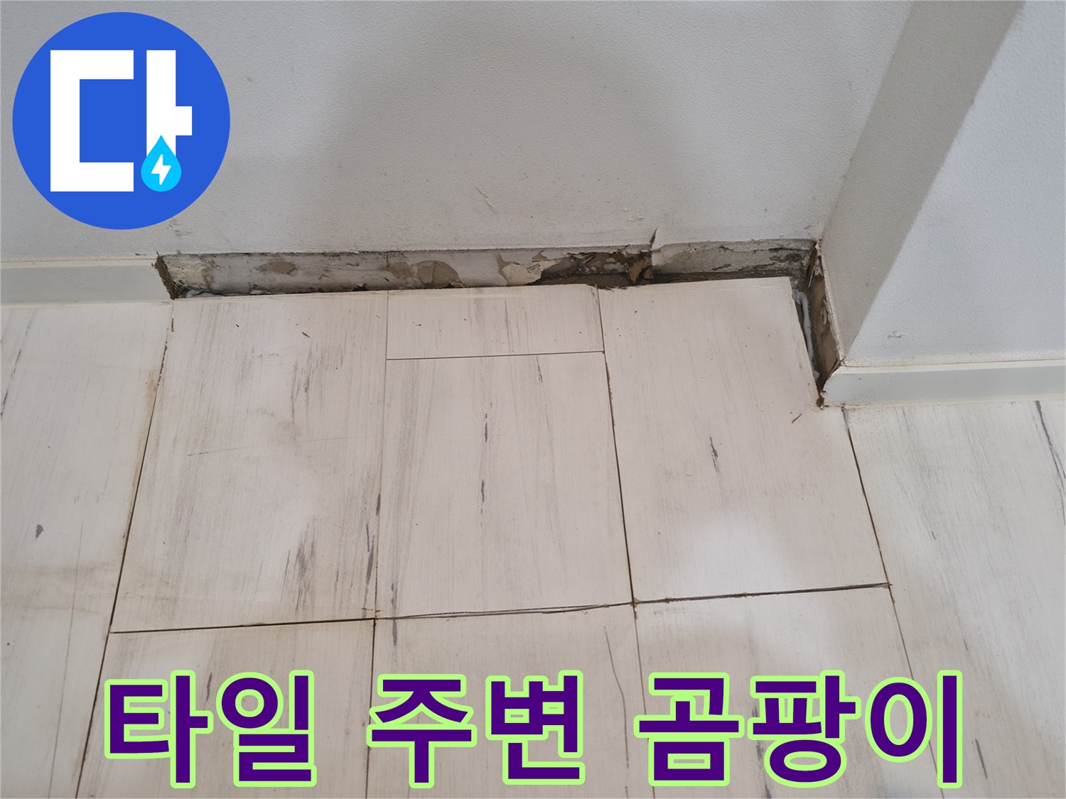 신림동 관악구 누수 - 타일 주변 곰팡이 - 습기 문제 확인