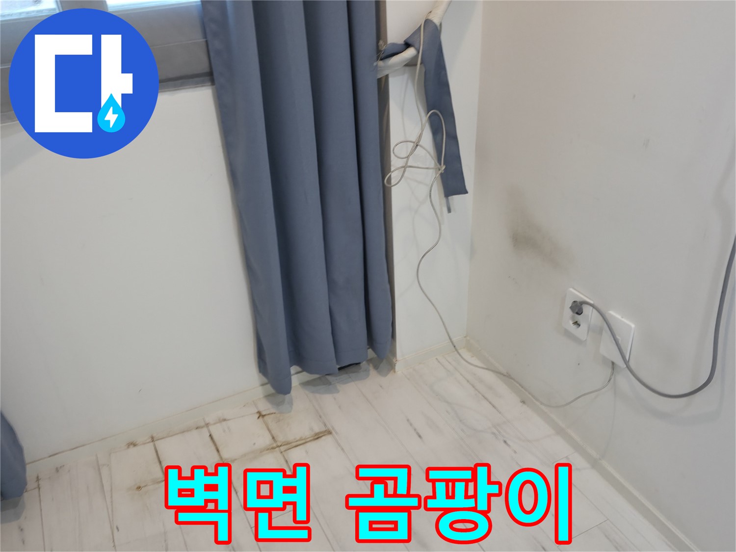 신림동 누수 - 벽면에 핀 곰팡이 - 정밀 누수 진단으로 원인 분석