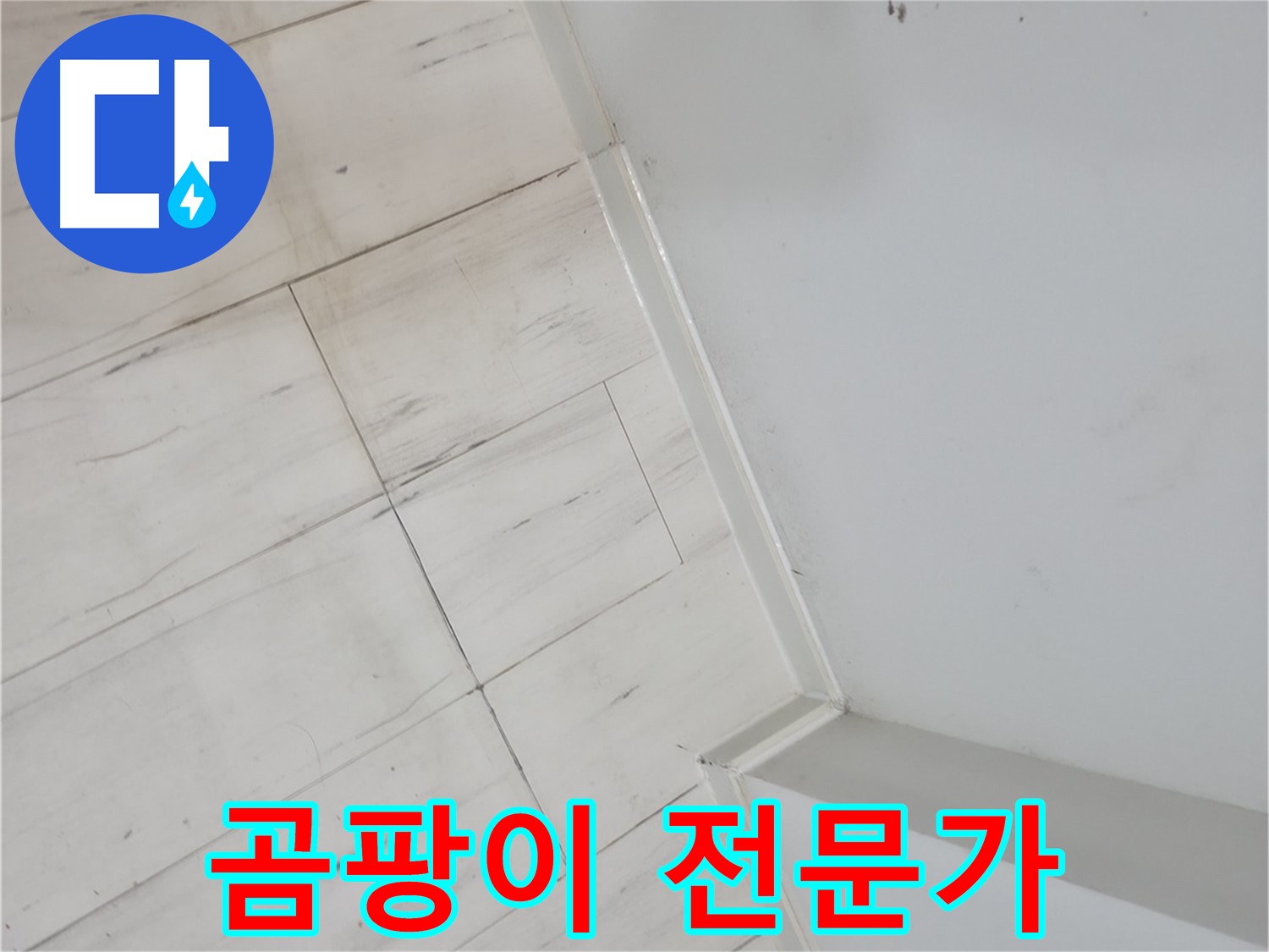 신림동 마루 곰팡이 누수 - 오랜 경험과 노하우의 전문가