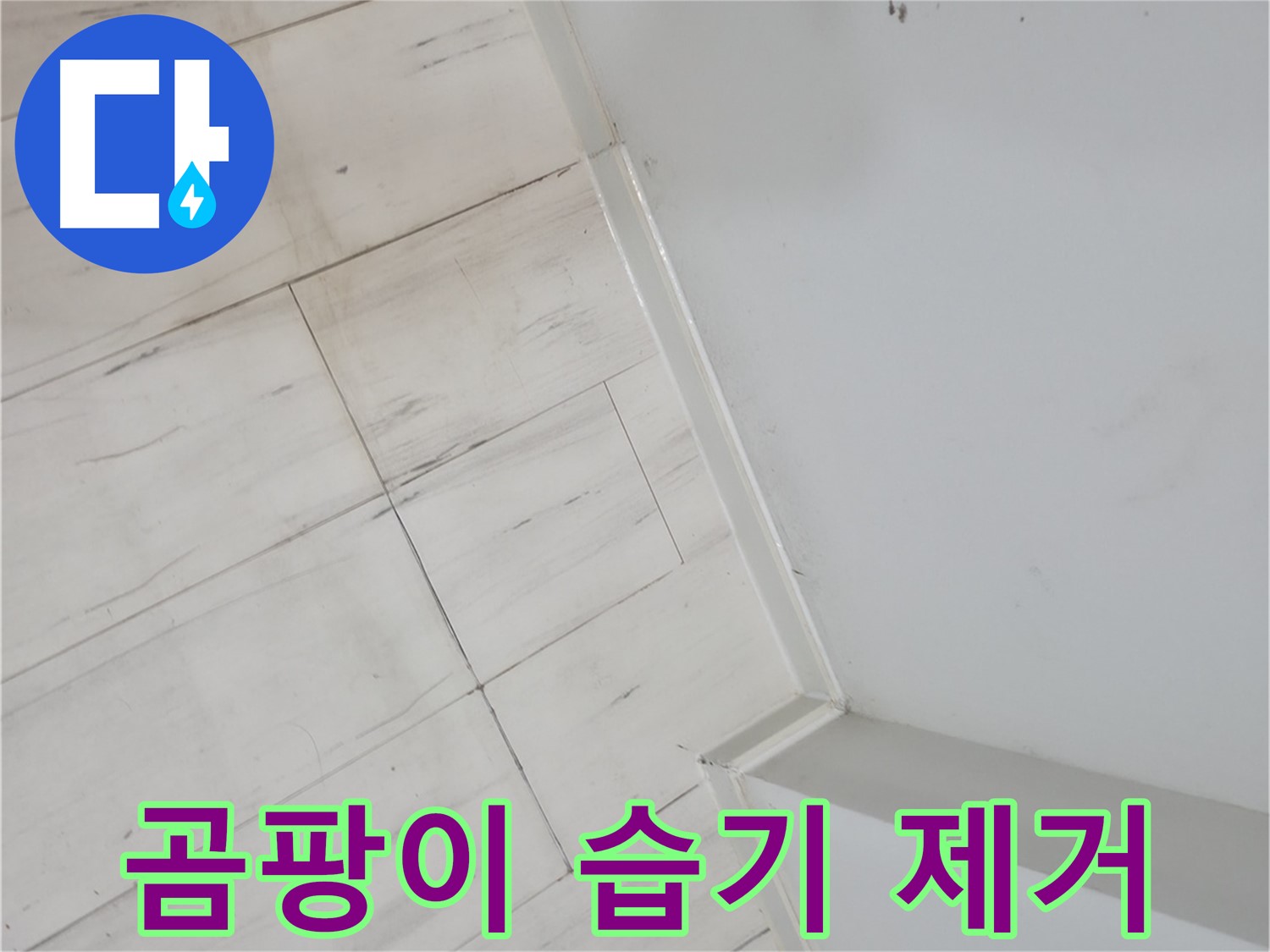 신림동 벽 모서리 곰팡이 - 습기 누수 해결