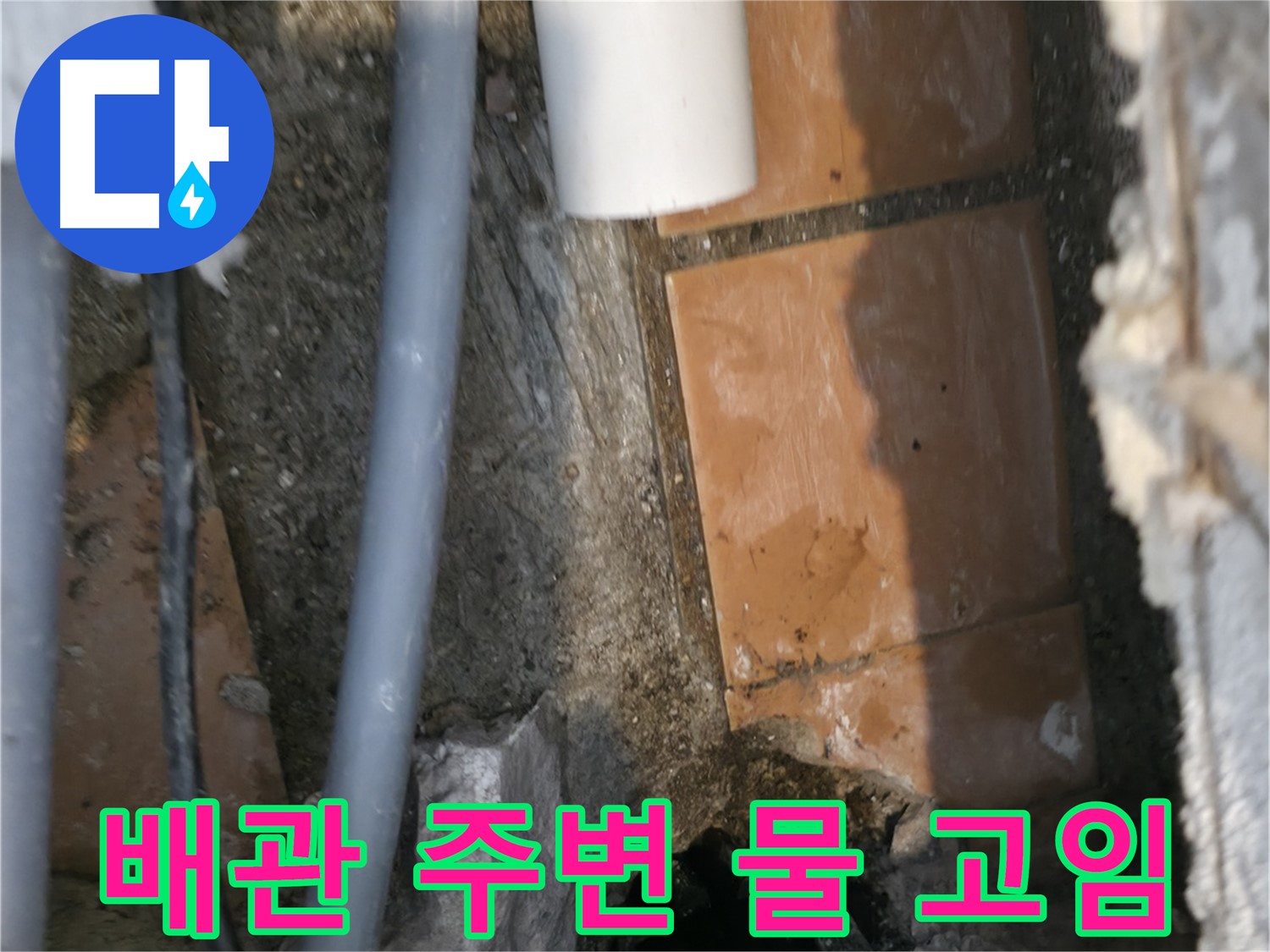 신림동 하이츠빌라 303호 누수 - 배관 주변 물 고임 집중 확인
