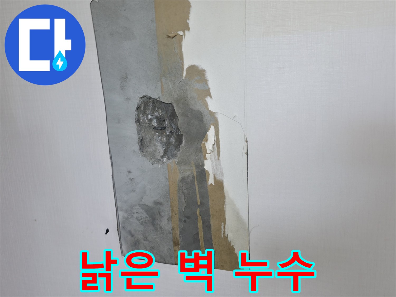 성북구 누수 - 낡은 벽에서 발견된 누수 - 오래된 집 누수 문제 해결