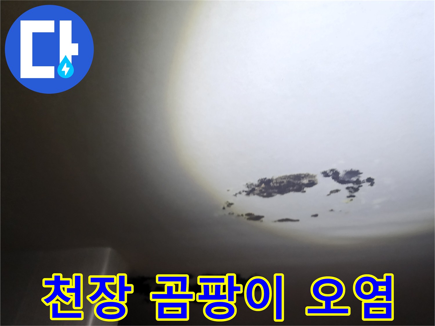 습기로 인해 검게 변한 천장 마감재의 곰팡이 상태