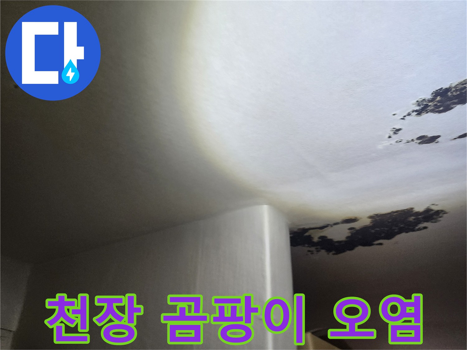 심하게 오염된 천장 마감재 부위