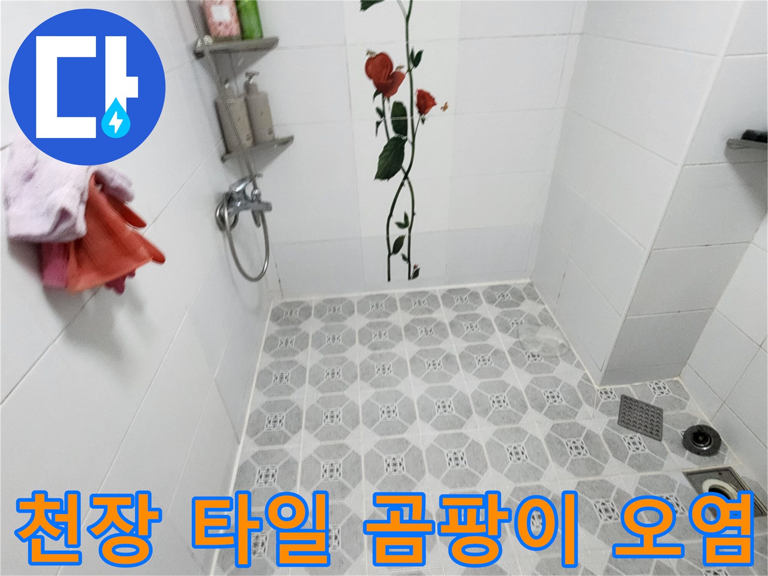 욕실 천장 타일-곰팡이가 발생한 누수 현장