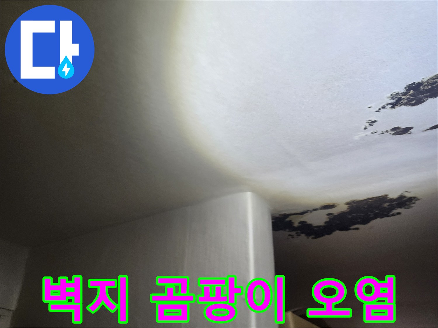 천장 벽지에 발생한-심각한 곰팡이와 변색 현상