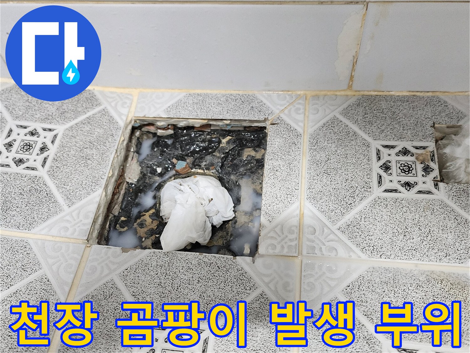 포천 구읍리 - 습기로 오염된 천장 타일 내부 구조