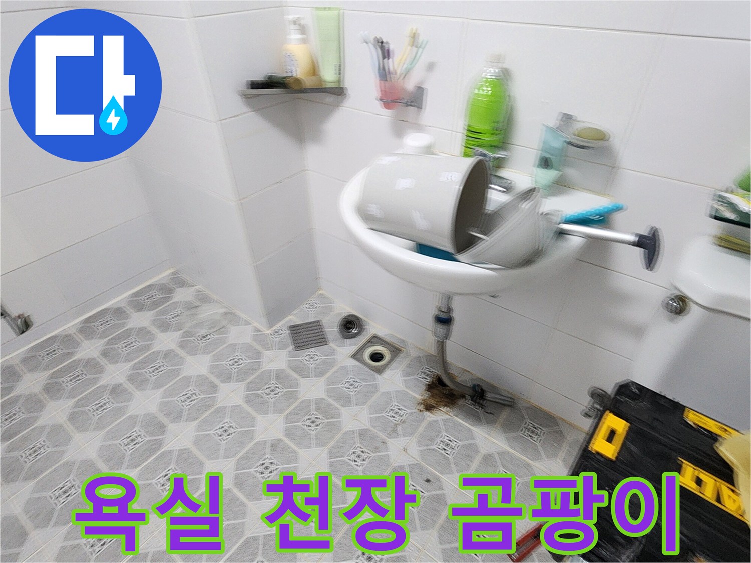 포천 구읍리 욕실 천장 벽면에 발생한 검은색 곰팡이와 습기 흔적