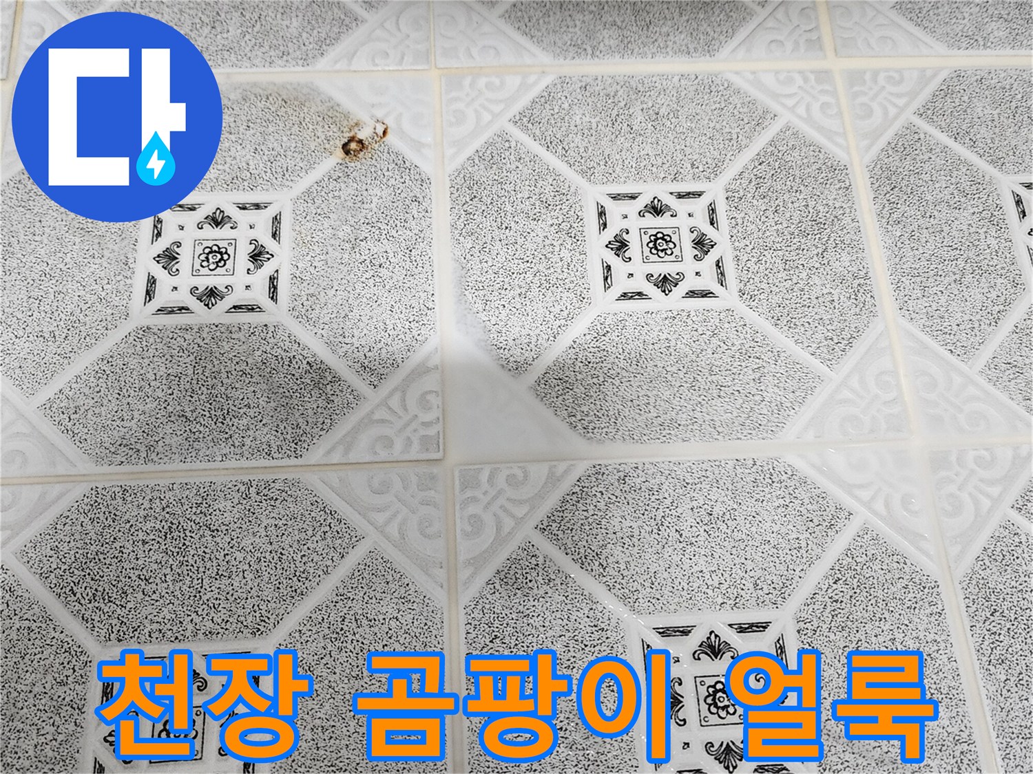 포천 구읍리 현장-천장재에 발생한 습기 및 변색 흔적