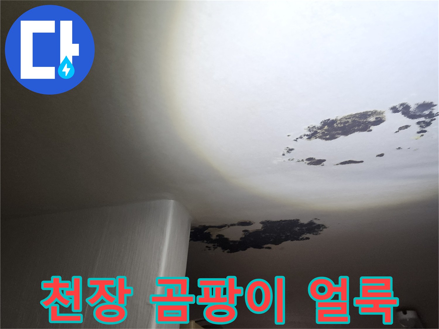 포천 구읍리 현장의 천장에 발생한 검은색 곰팡이와 물 얼룩 상태