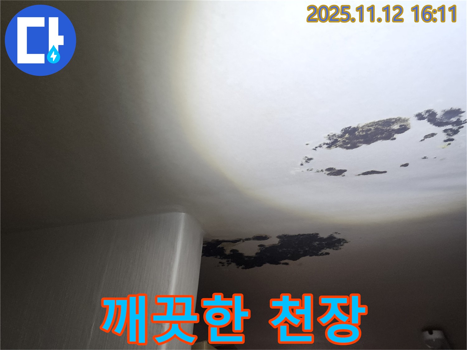 포천 누수 - 곰팡이 누수, 깨끗한 천장 만들기