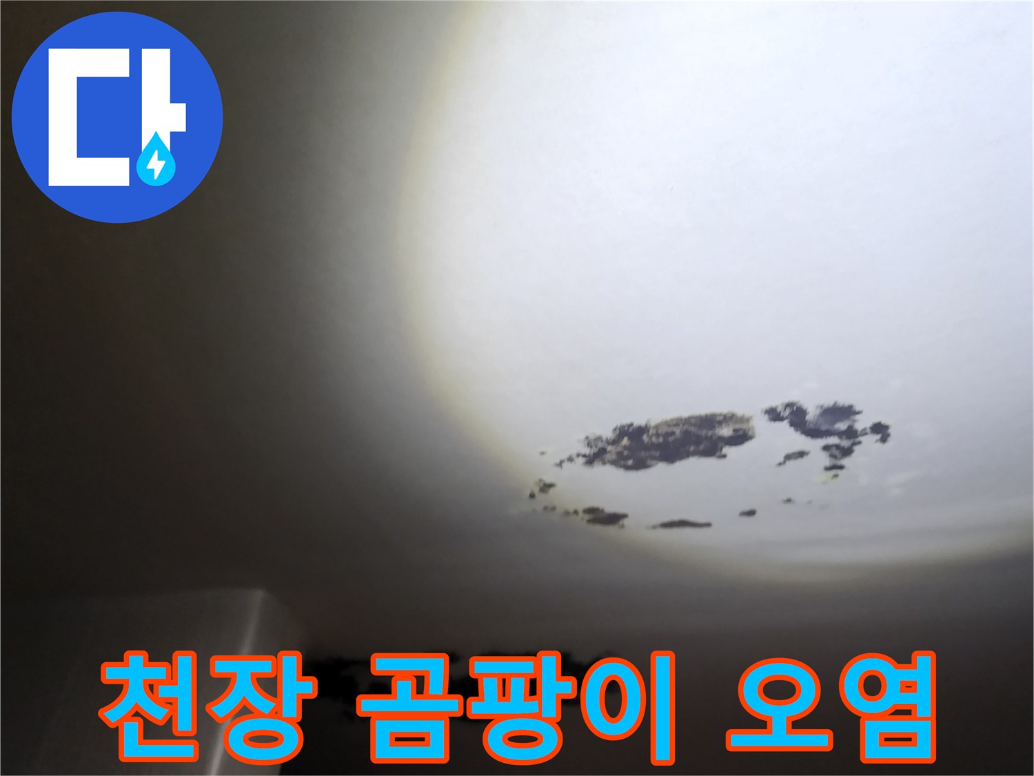 흰색 천장에 나타난 검은색 곰팡이와 물 얼룩