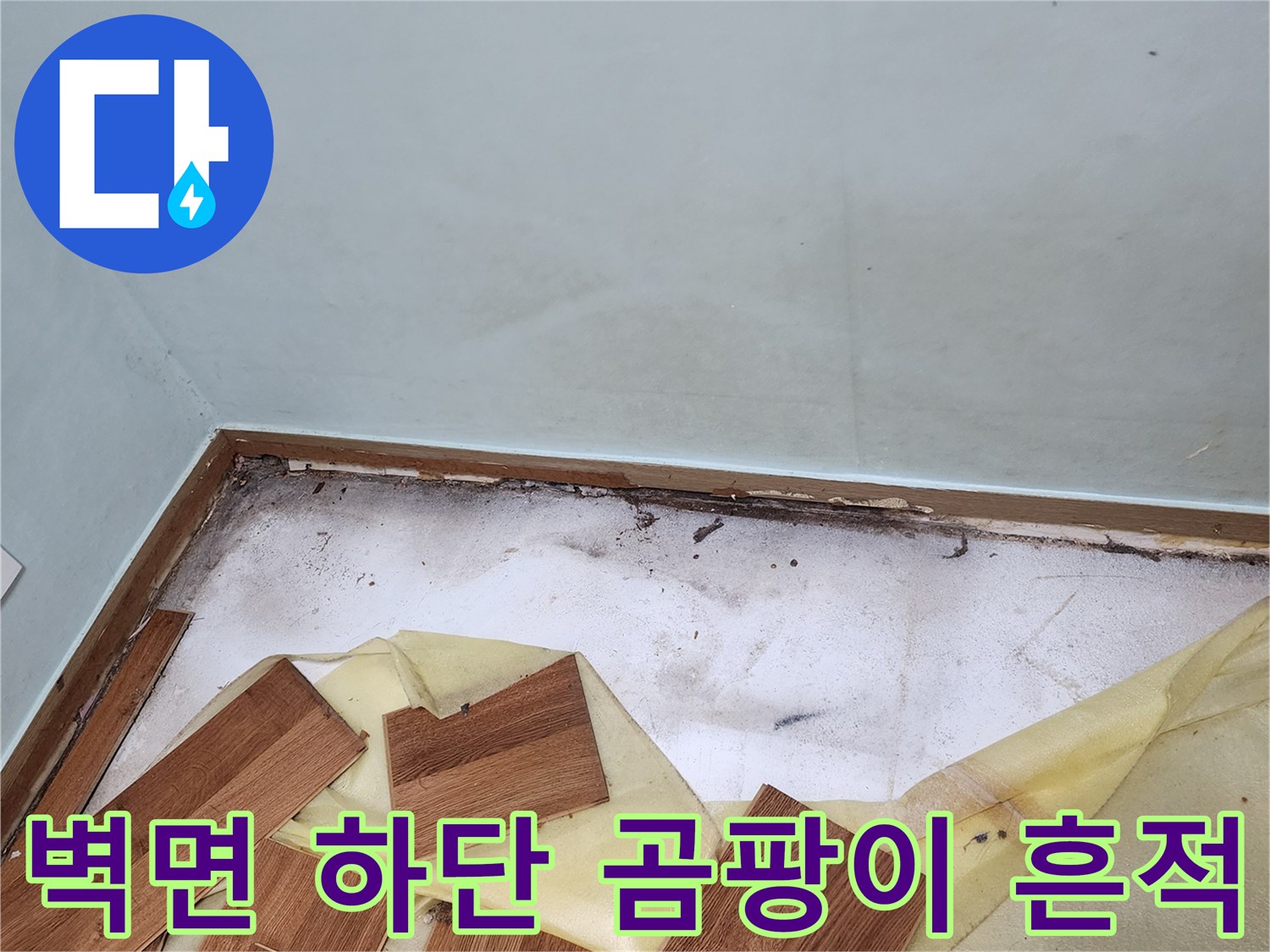 마루 철거 부위-곰팡이가 발생한 벽체와 바닥 접합부