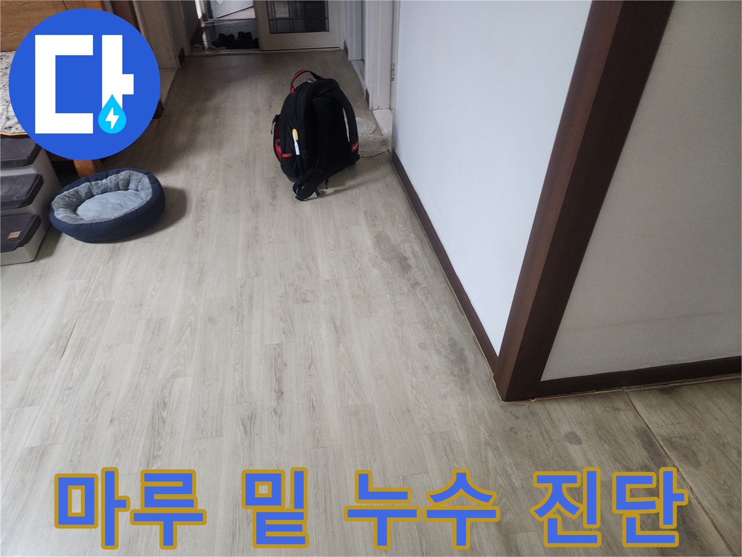 권선구 아파트 누수 - 마루 밑 누수 가능성 진단 및 습기 문제 확인