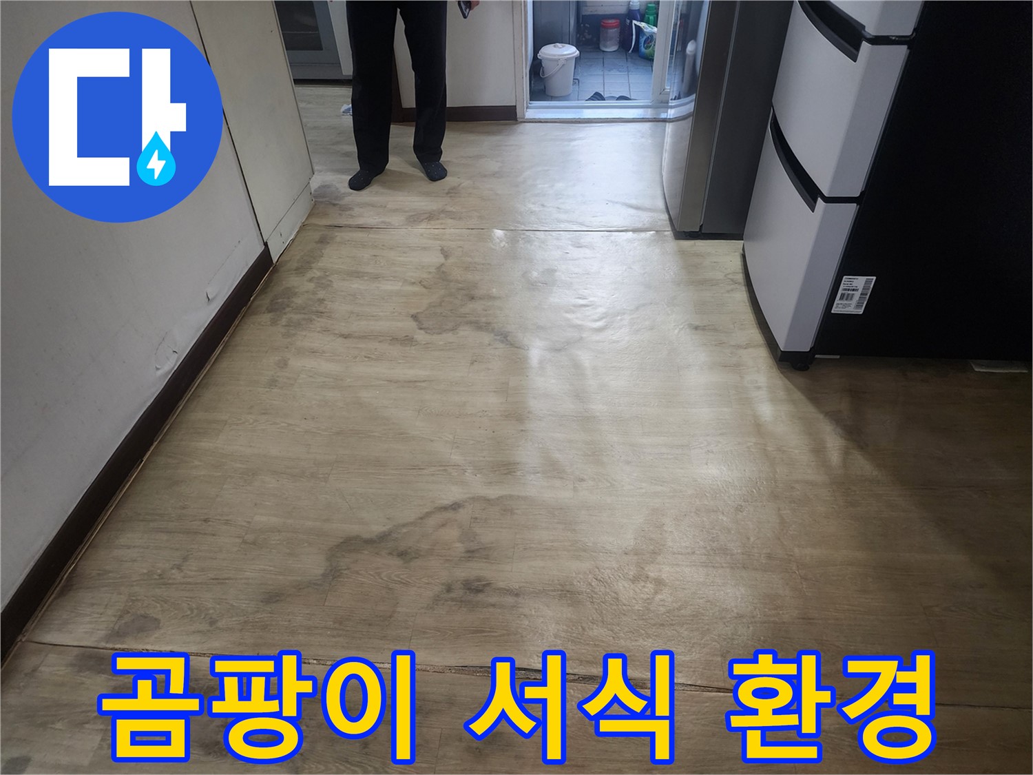 권선구 아파트 누수 - 장판 밑 물, 곰팡이 서식에 최적 환경 - 곰팡이 제거와 누수 해결 시급