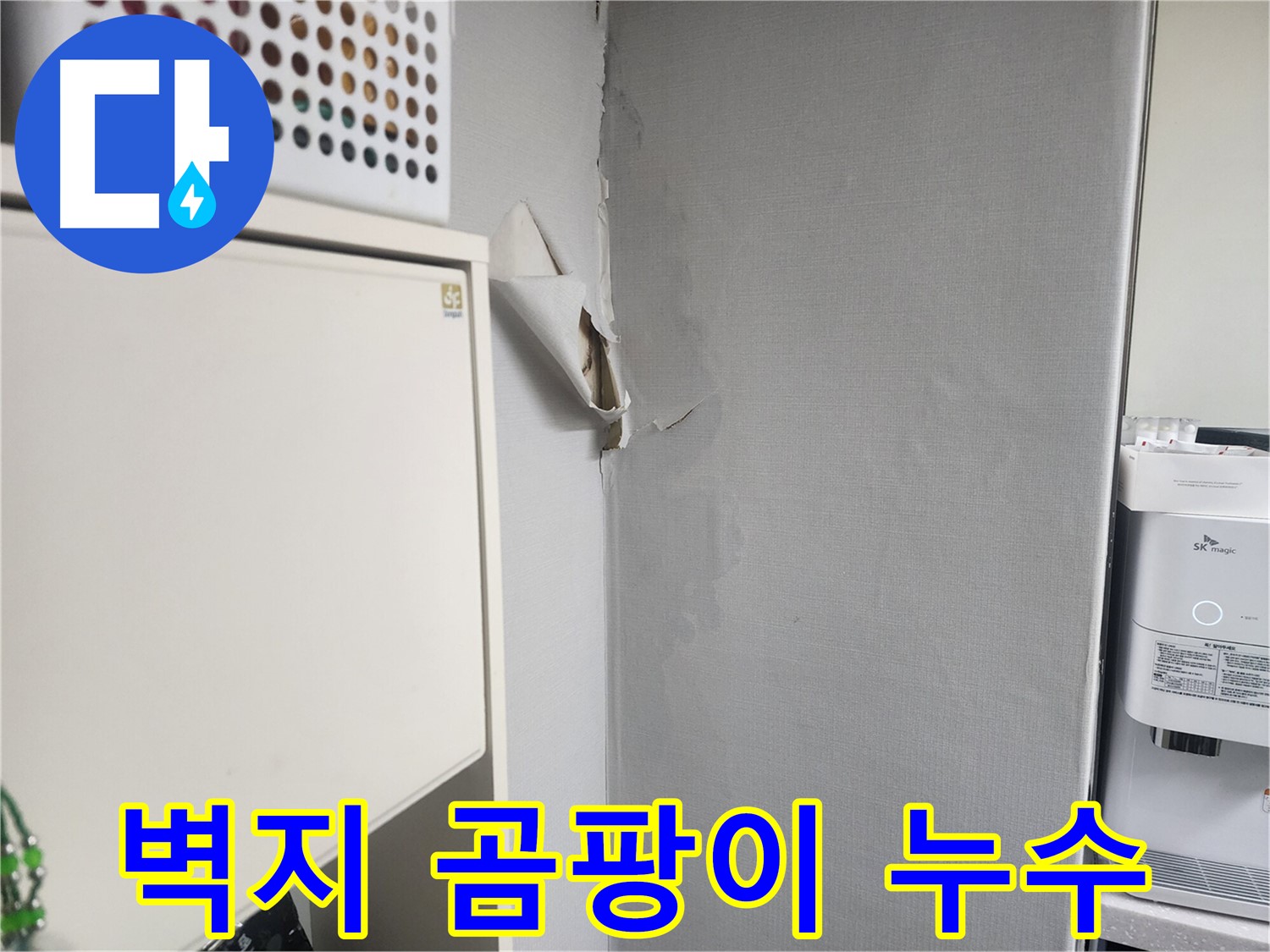 수원 권선구 두산동아아파트 벽지 곰팡이 - 누수 원인 제거 및 곰팡이 제거