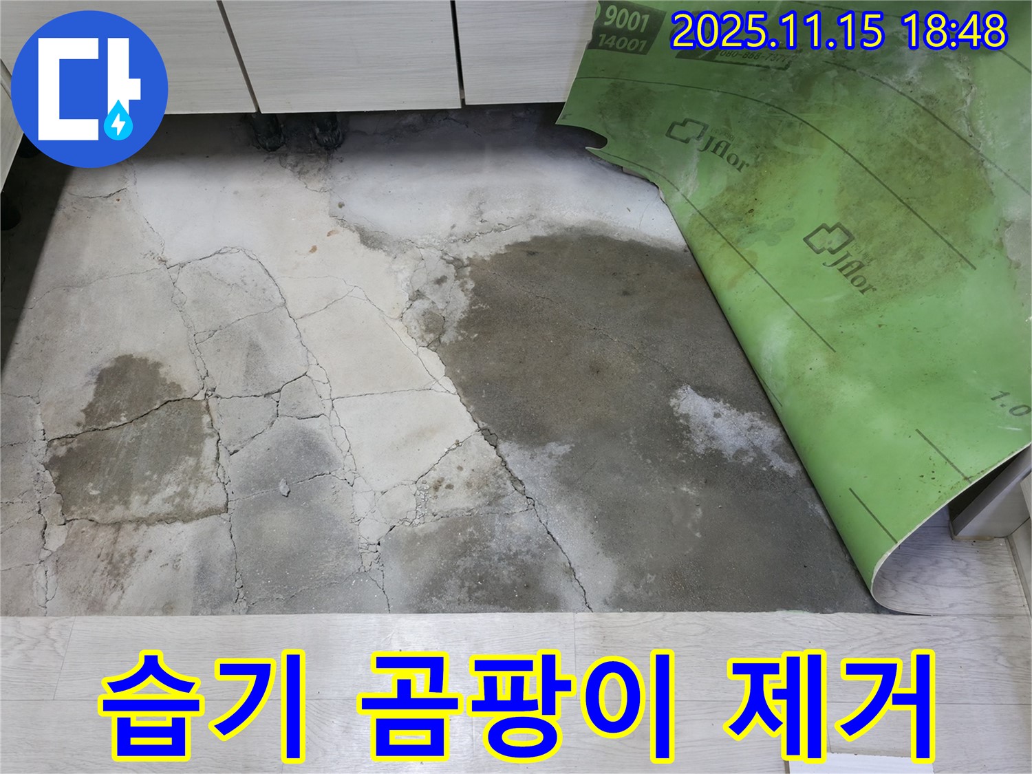 포천 선경빌라 누수 - 콘크리트 습기와 곰팡이 누수 완벽 제거