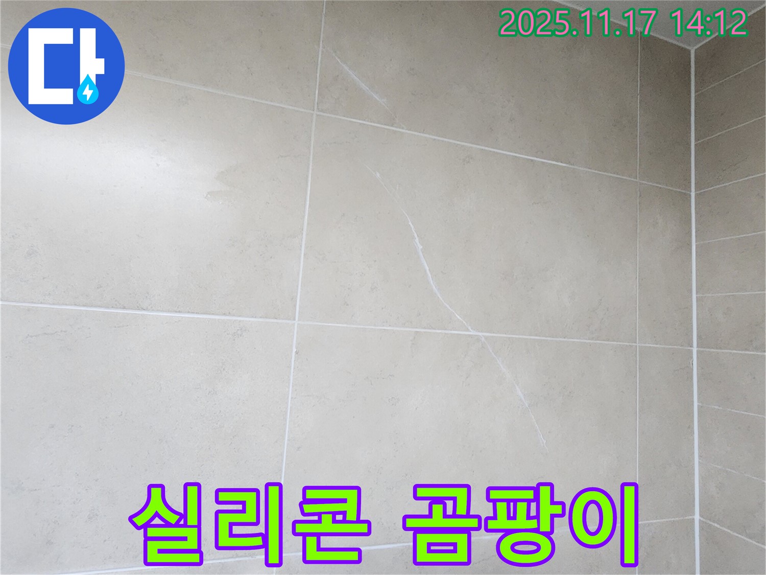 포천 군내면 하성북리 실리콘 곰팡이 - 뿌리처럼 박힌 곰팡이와 누수 가능성 진단