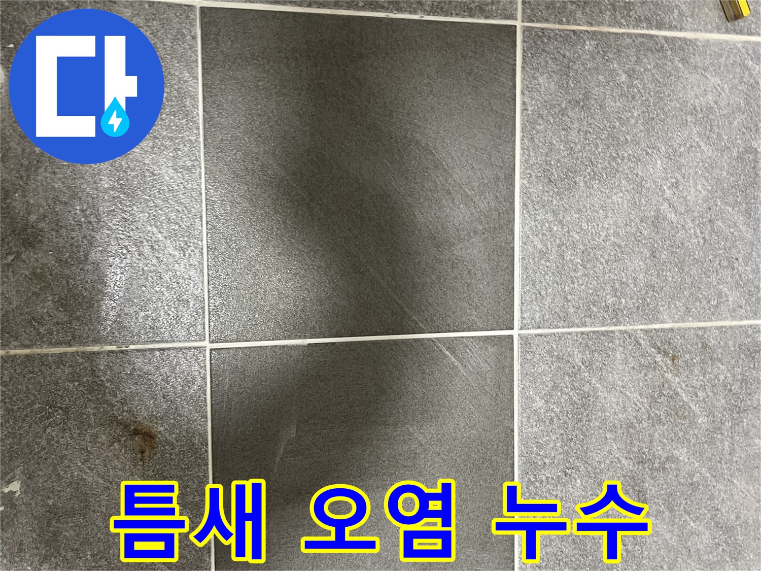의정부 가능동 목인아트빌라 타일 틈새 오염 - 누수 가능성을 의심하고 꼼꼼히 점검합니다.