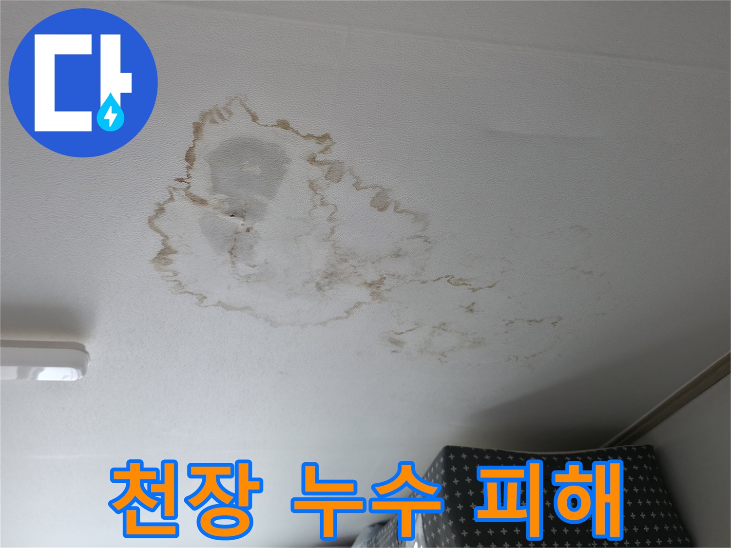 천장 누수 - 누수 피해 - 변색 및 곰팡이