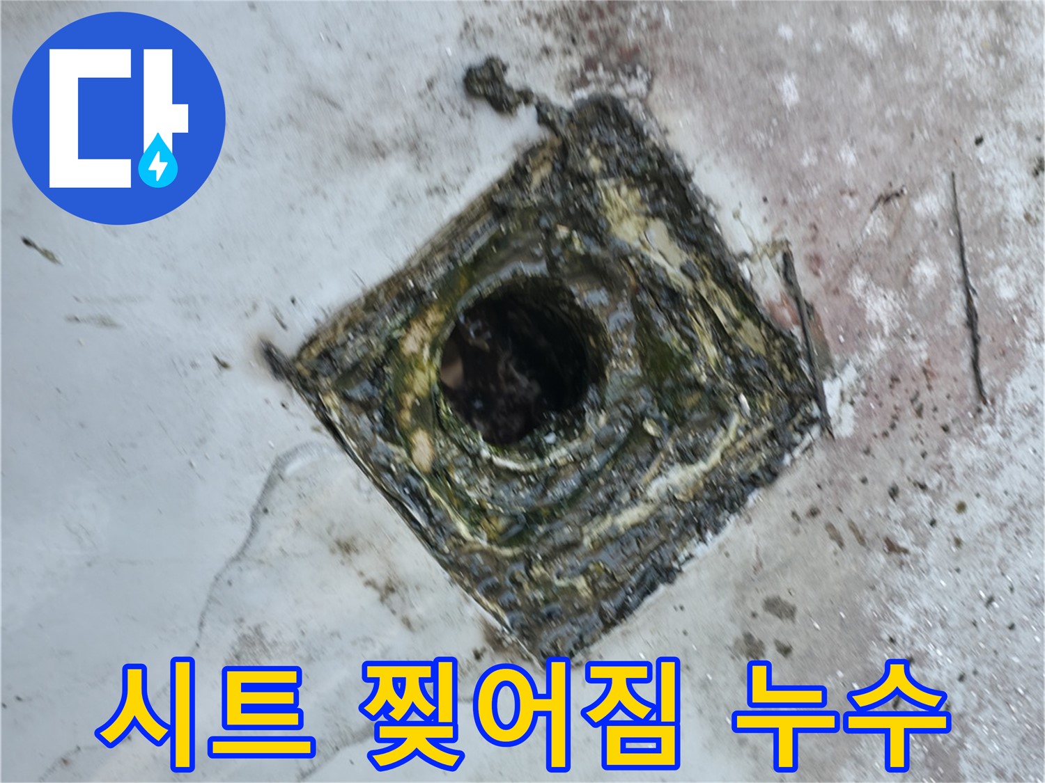 독산동 옥상 드레인 주변 방수 시트 찢어짐 - 빗물 침투