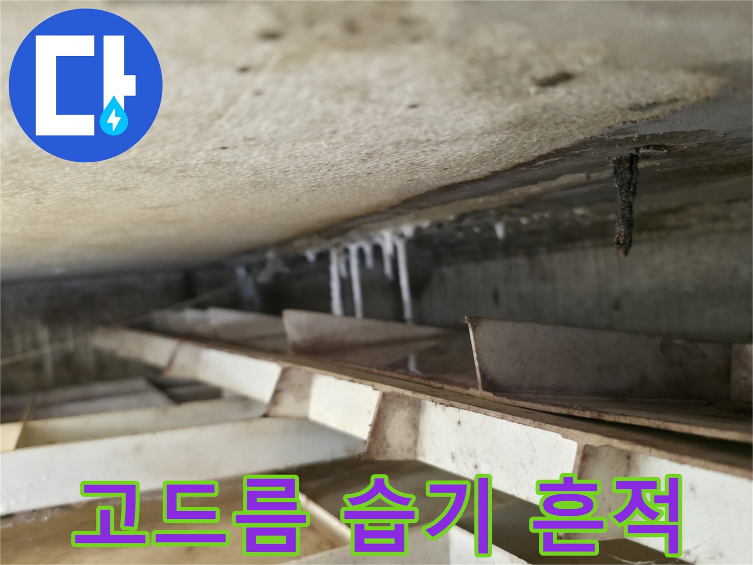 독산동 현진아트빌 슬라브 누수 - 석회수 고드름과 습기 흔적은 누수의 확실한 증거입니다 - 꼼꼼한 확인이 필요합니다.