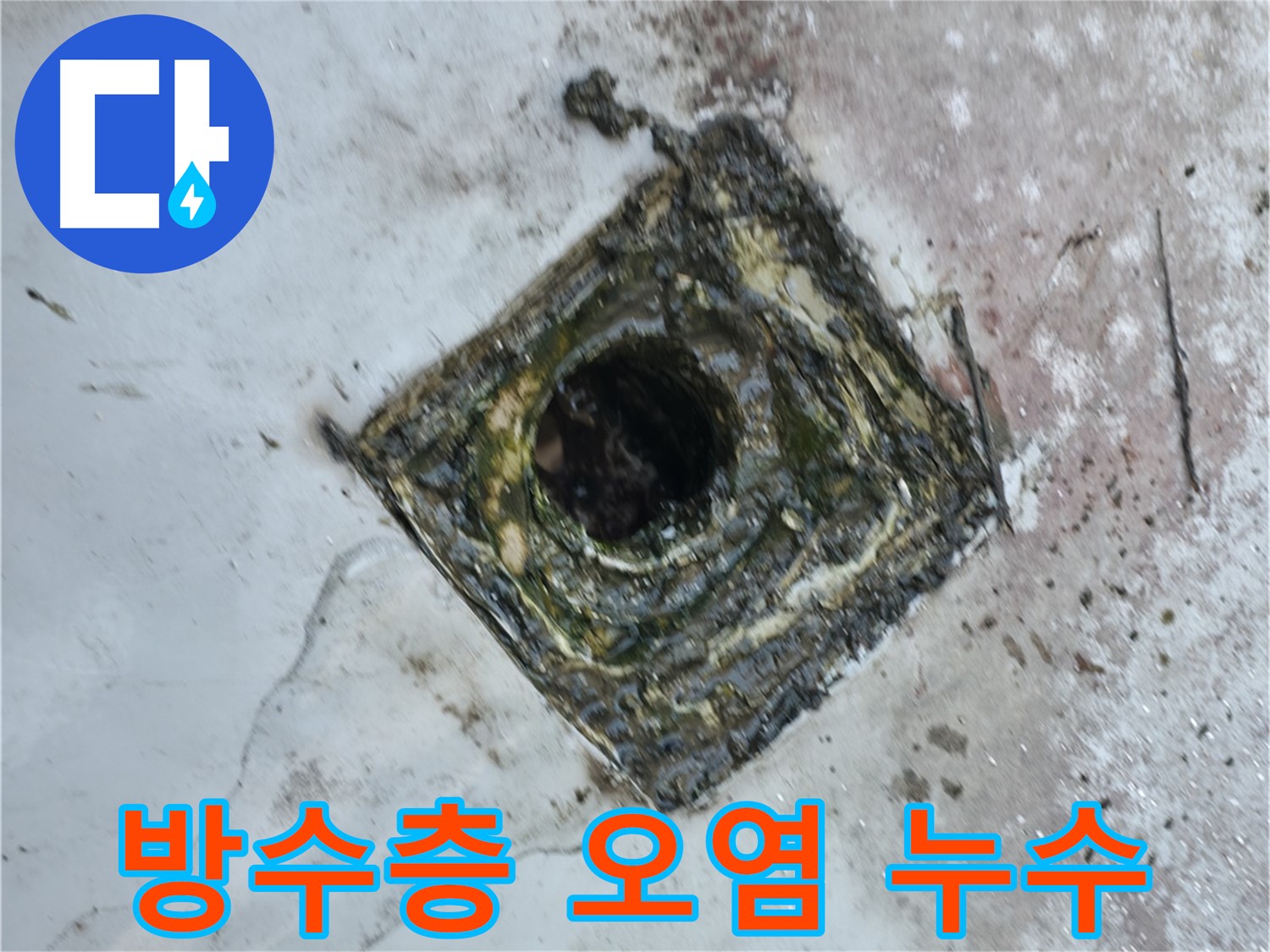 독산로43가길 옥상 드레인 주변 방수층 손상 - 오염 심각 - 누수 발생