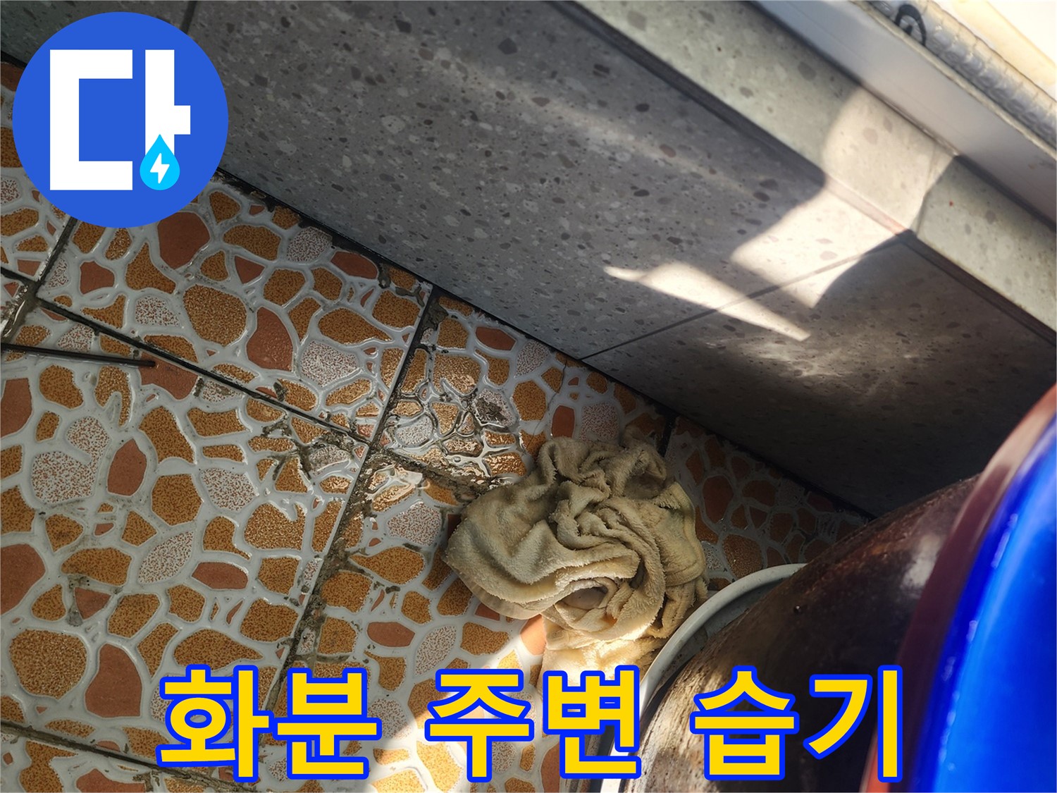 화분 주변 습기 - 경기 광주 누수탐지 전문 업체에서 정확한 원인 분석을 진행합니다.
