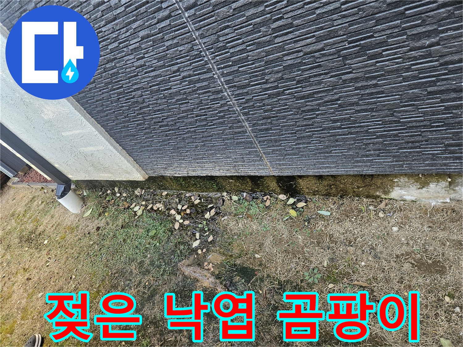 이천 마장 외벽 누수 가능성 - 젖은 낙엽과 곰팡이 - 주기적인 청소 필요
