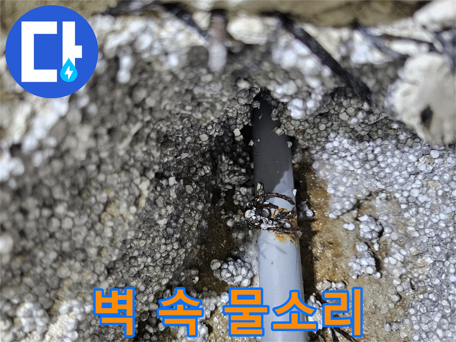 이천시 아리역로 누수 - 벽 속 물소리, 누수 위치 찾음