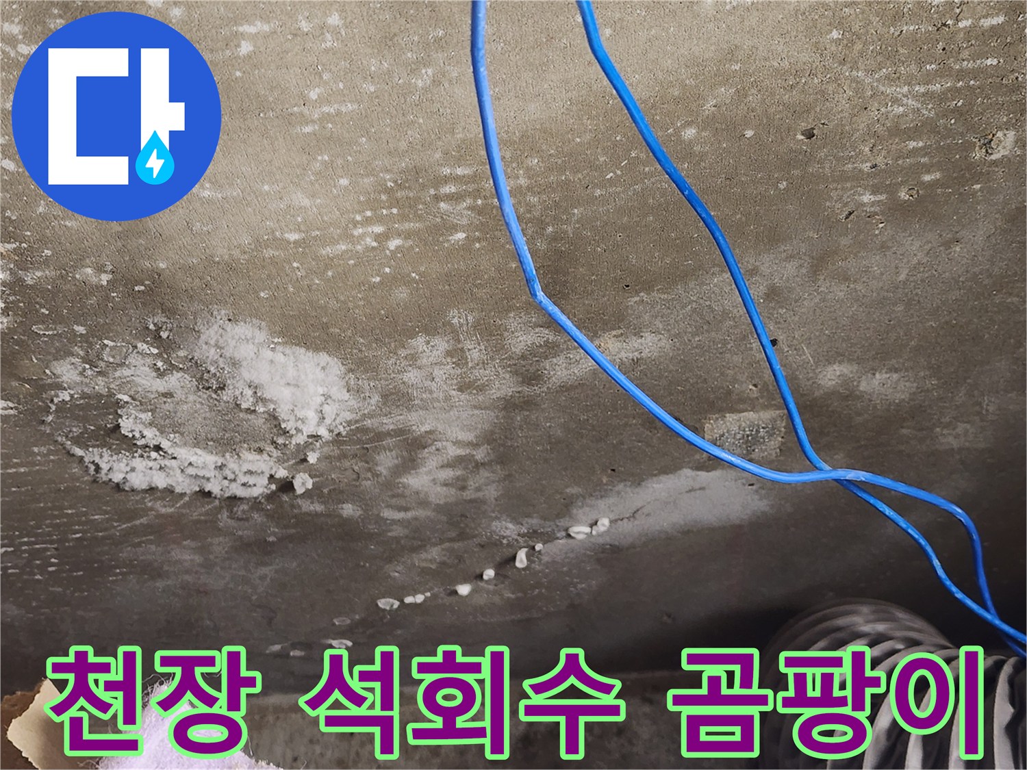 기흥구 콘크리트 천장 - 석회수와 곰팡이 - 완벽 해결