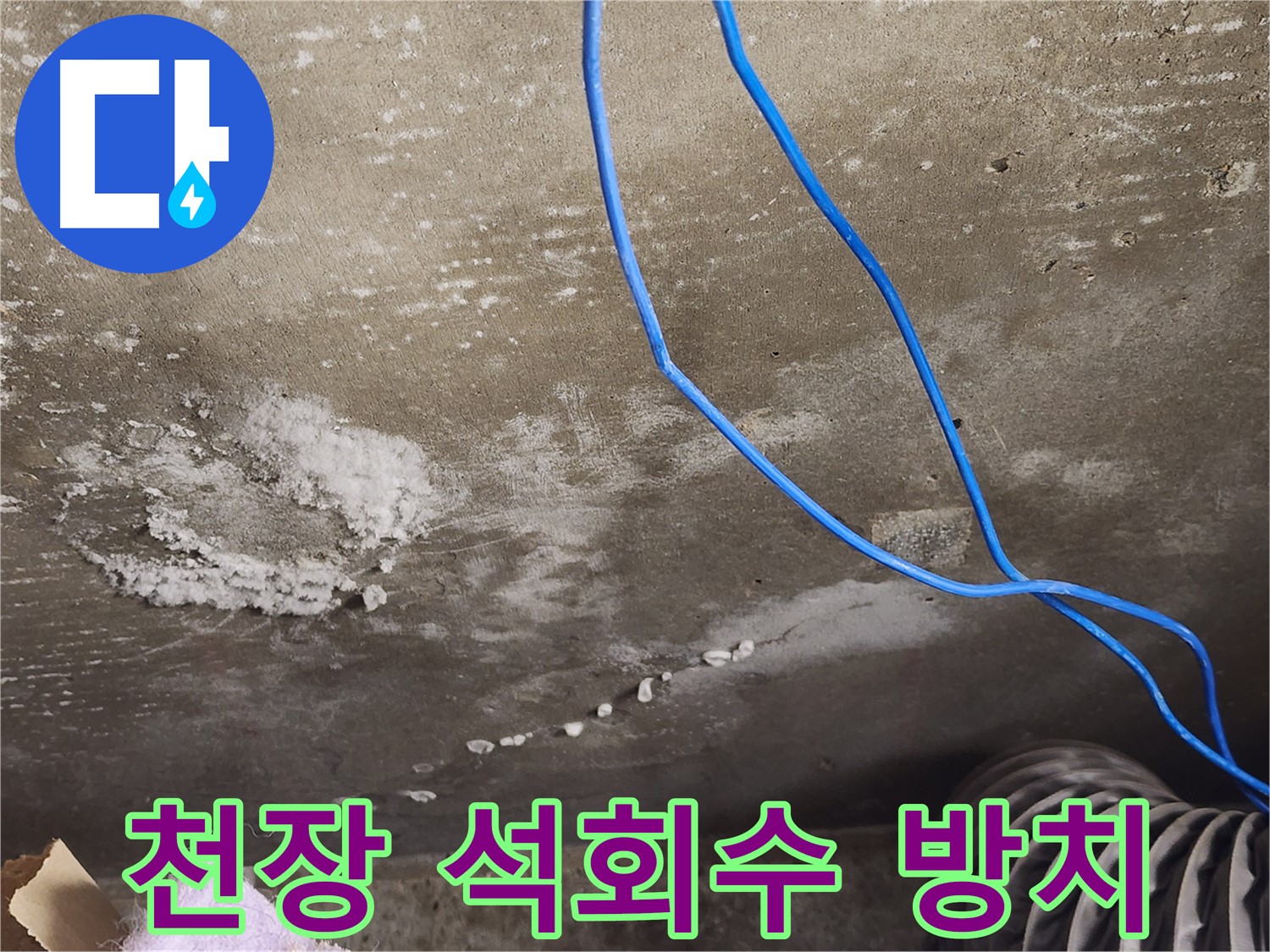 용인 콘크리트 천장 - 석회수 방치 위험 - 건물 안전 위협
