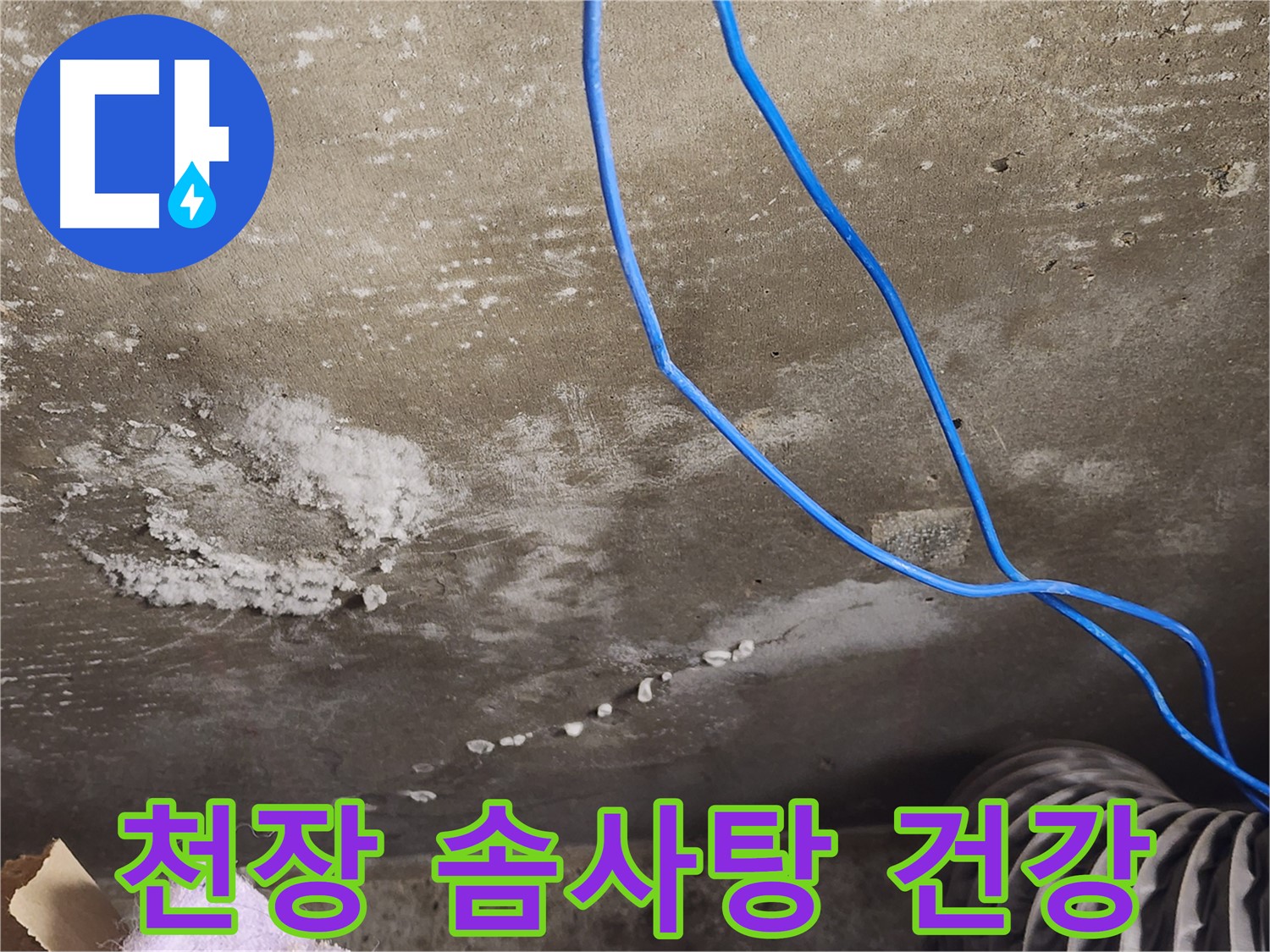 용인 - 콘크리트 천장 솜사탕 곰팡이 - 건강 위협