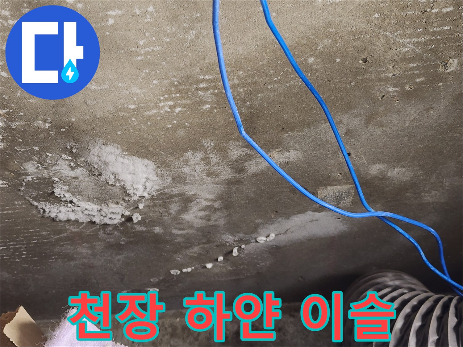 용인시 기흥구 콘크리트 천장 - 하얀 이슬 - 누수 초기 의심