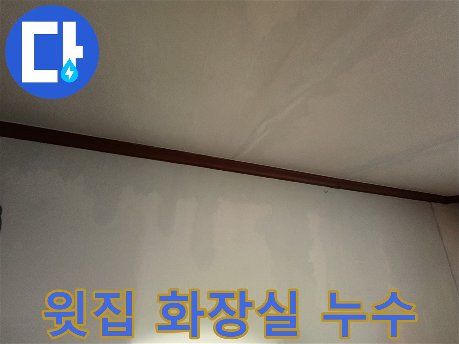 수원 정자동 빌라 누수 - 윗집 화장실에서 시작된 누수, 아래층 천장과 벽에 피해를 주고 있습니다.