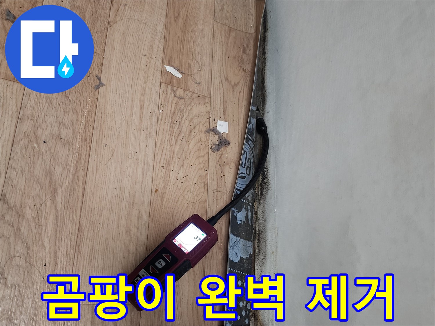 정자동 누수 - 곰팡이 습도 측정 후 곰팡이 완벽 제거