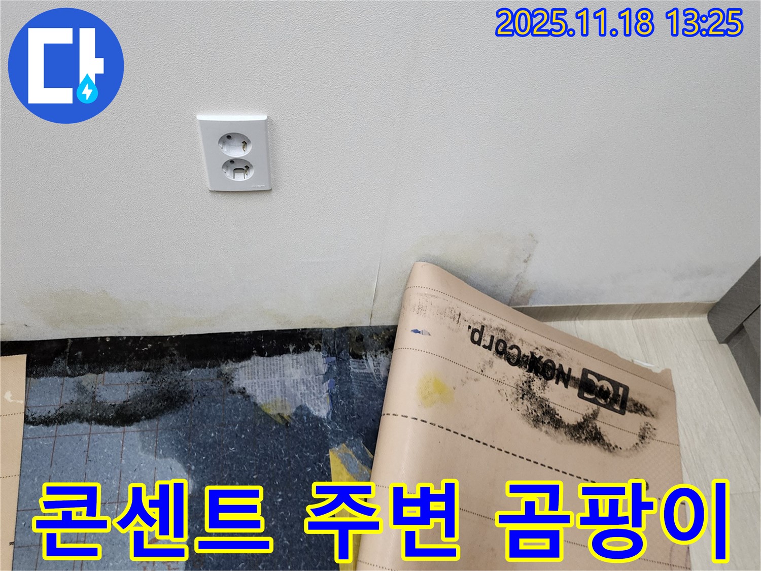 벽 콘센트 주변 곰팡이 - 건강에 해로운 곰팡이 제거 시급