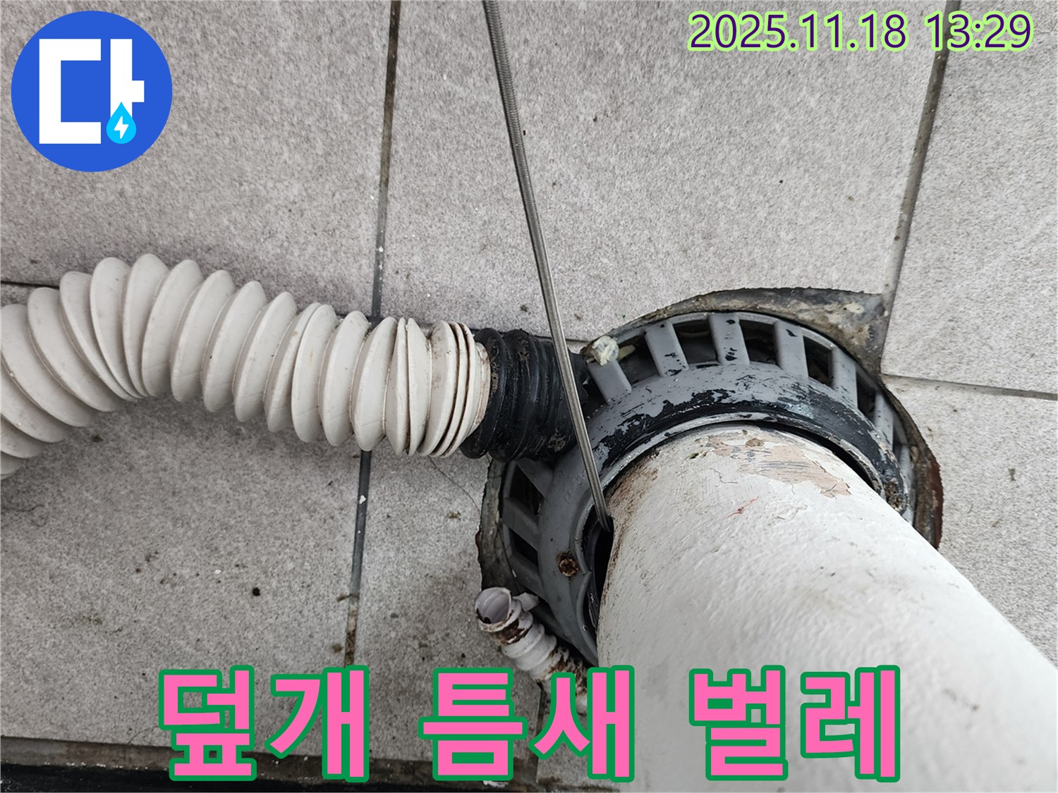 포천 내촌면 - 배수구 덮개 틈새로 인한 베란다 하수구 하수구 벌레 유입
