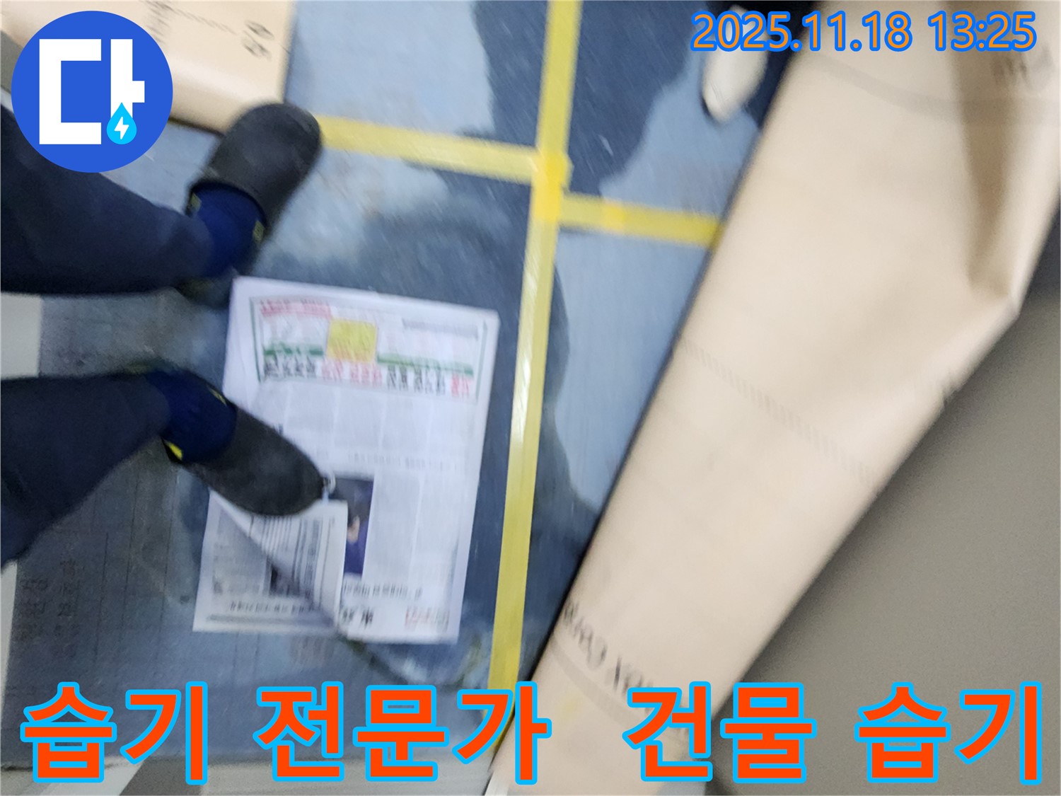포천 내촌면 습기 전문가가 진목리 건물 습기를 진단하는 모습 - 전문적인 장비와 기술력을 활용