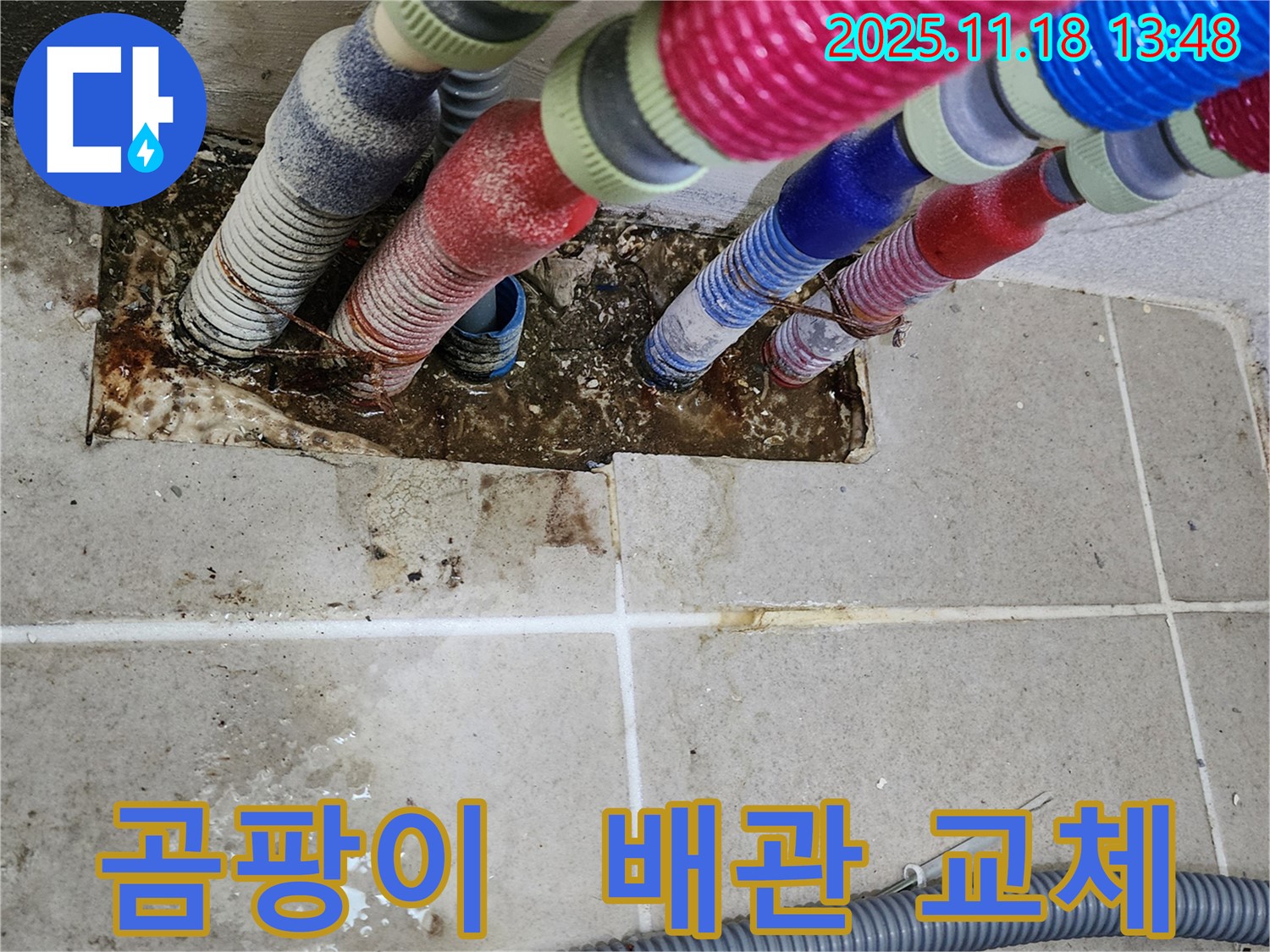 포천시 내촌면 진목리 누수 - 곰팡이 핀 벽, 배관 교체로 곰팡이와 작별!