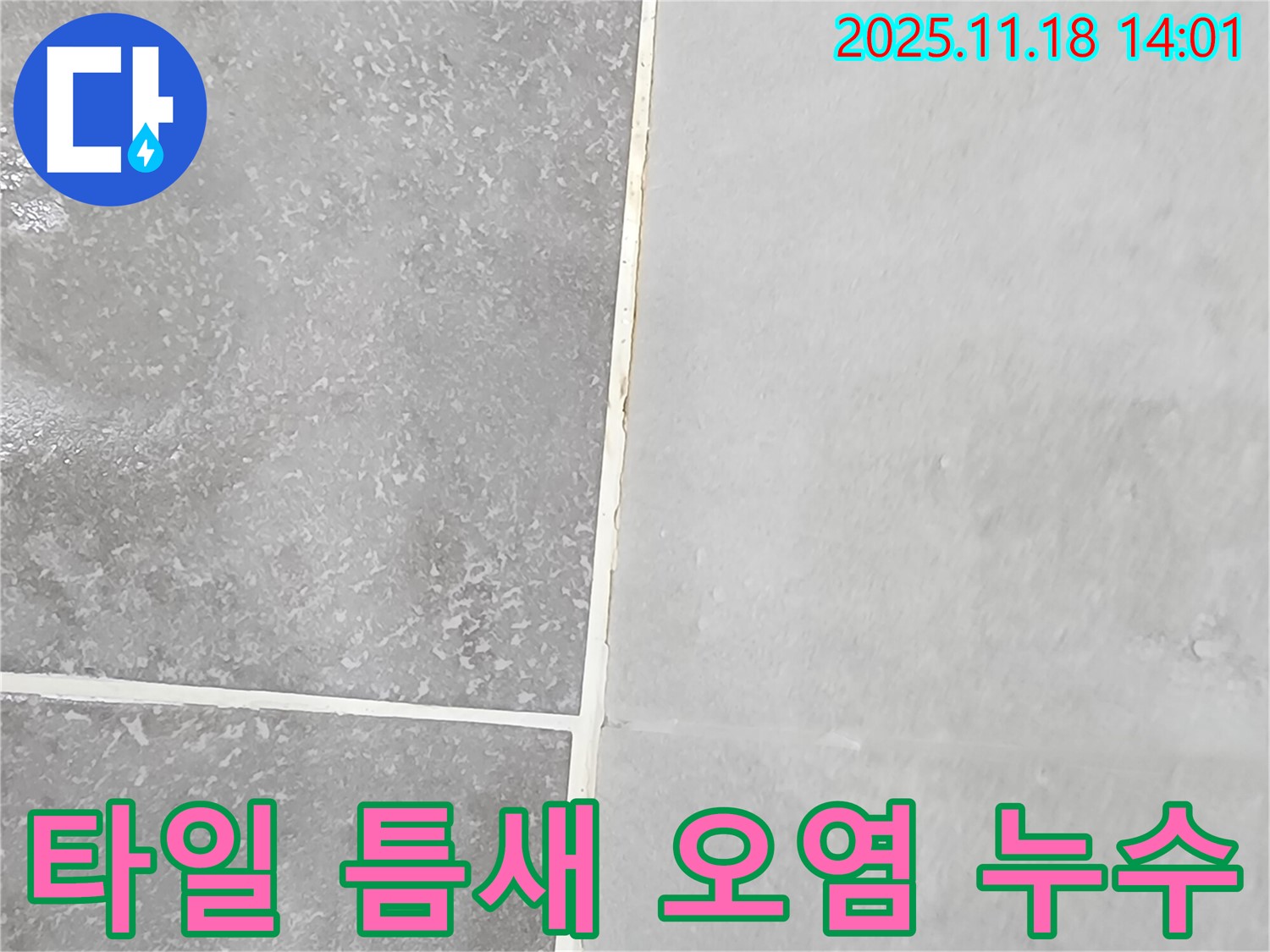 포천에서 타일 틈새 오염 발견 - 찌든 때와 누수가 함께 문제를 일으키고 있습니다.