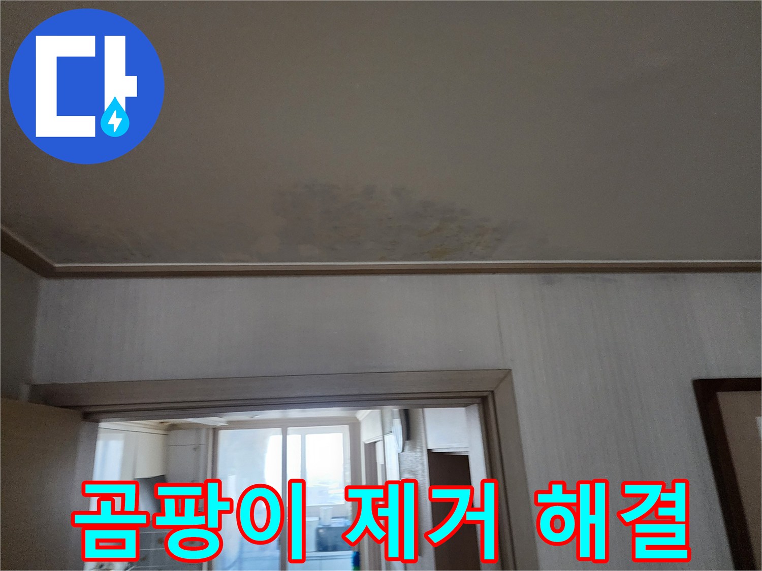 광명 두산위브 아파트 천장 누수 해결 및 곰팡이 제거 - 누수 전문가가 누수 문제를 해결하고 곰팡이를 제거하고 있습니다.