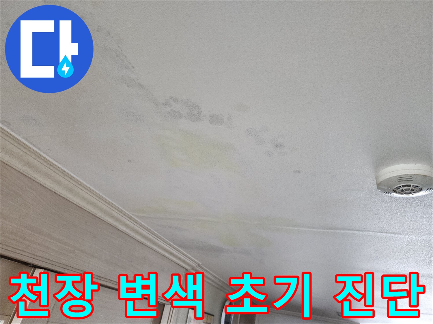 광명 철산동 두산위브 103동 아파트 천장 변색 - 초기 누수 진단