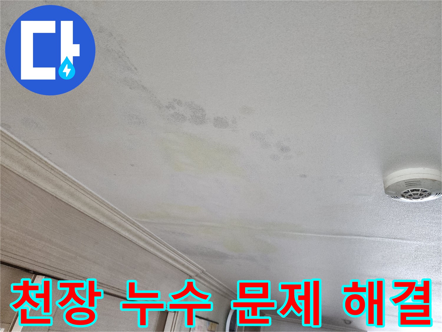 두산위브 103동 천장 누수 문제 해결 - 누수 해결 과정