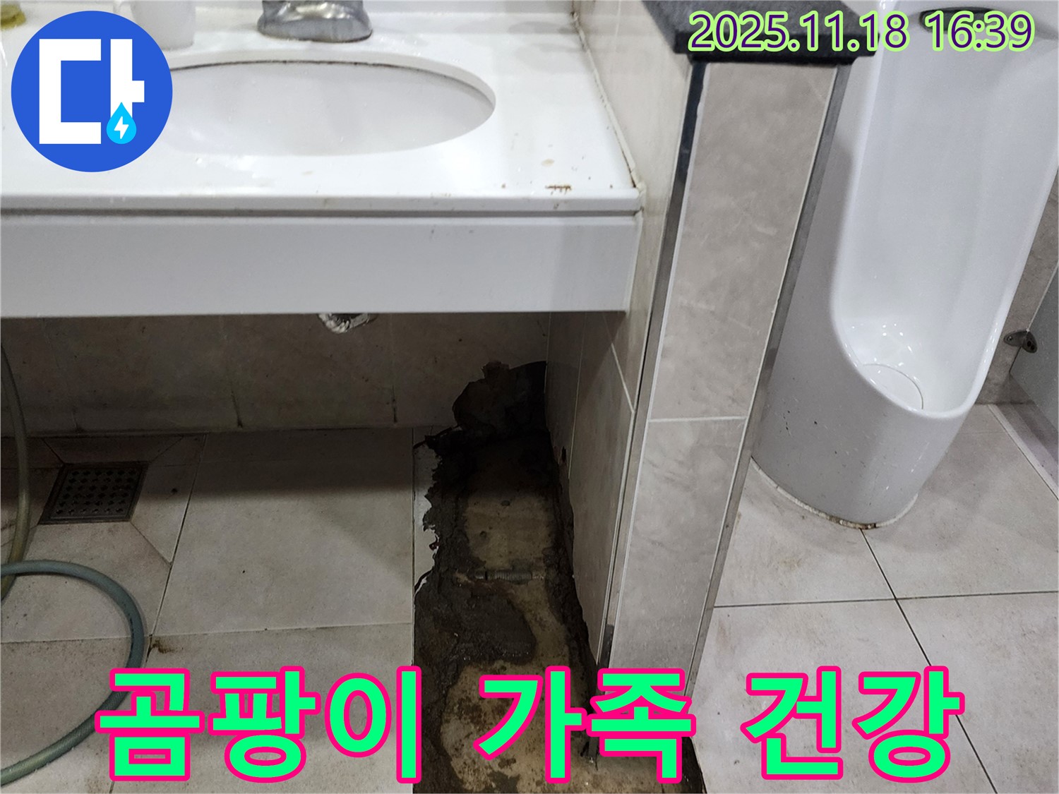 내촌면 소학리 세면대 누수 - 곰팡이, 가족 건강 위협