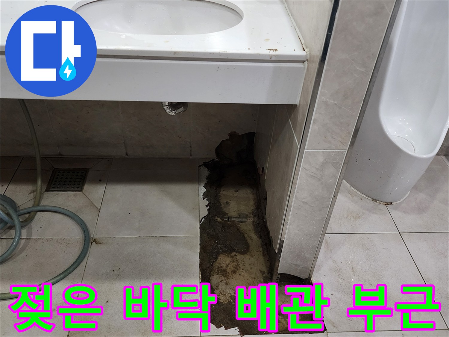 타일을 제거한 자리 아래에 고인 물과 젖은 흙의 모습