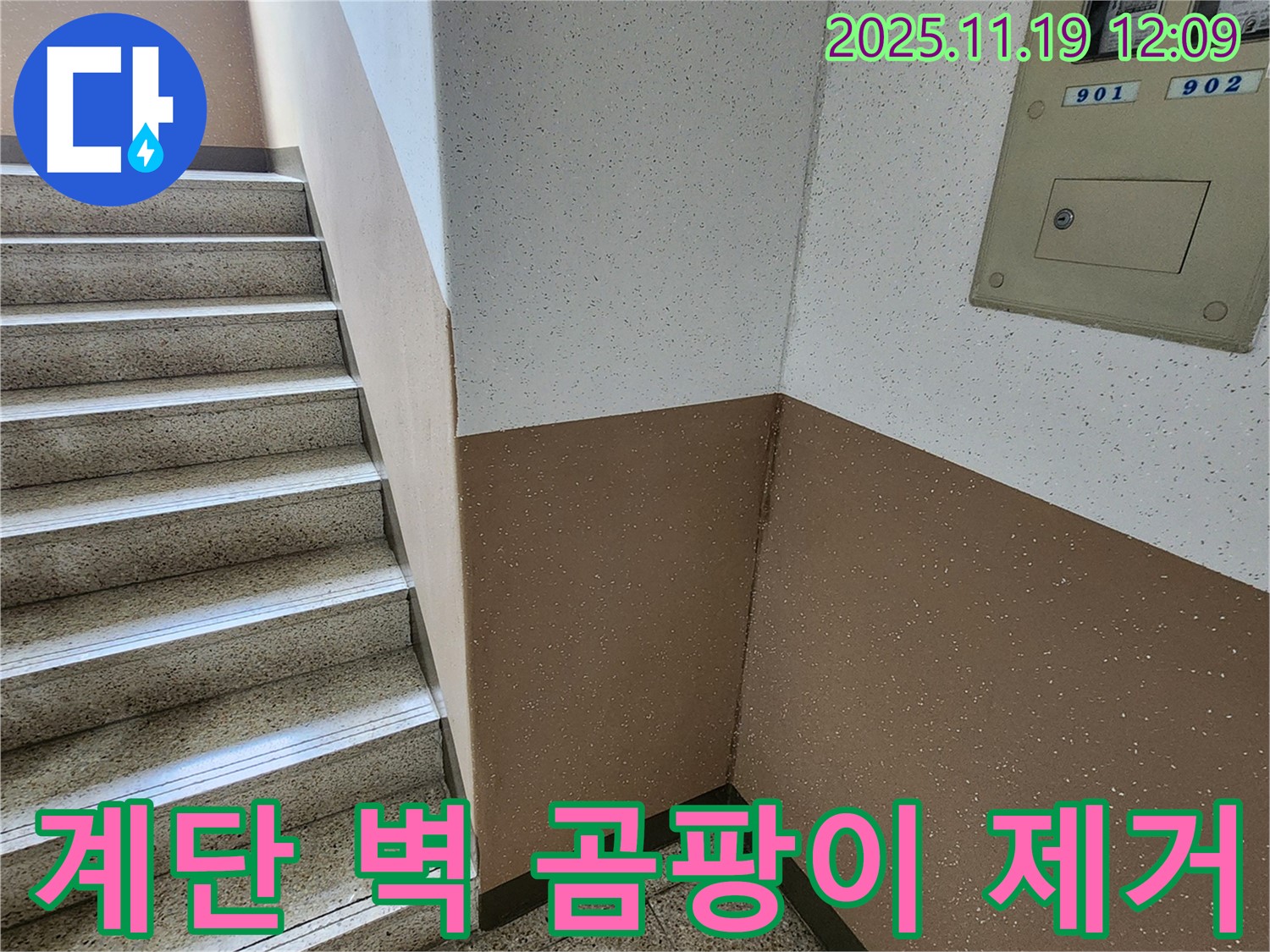내촌면 마명리 아파트 누수 - 계단 벽 곰팡이, 냄새까지 완벽 제거!
