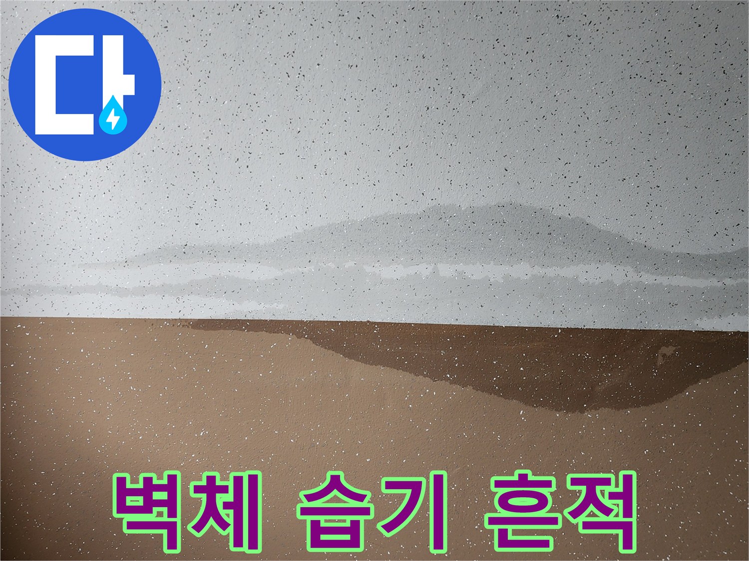 내촌면 현장 기록-벽면 하단에 나타난 누수 유입 및 변색 증상